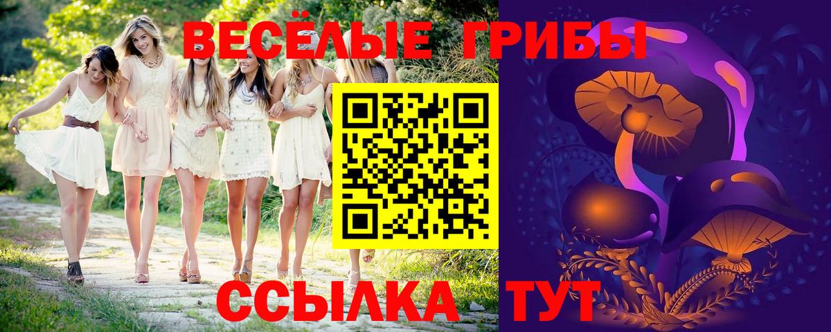 Псилоцибиновые грибы мицелий  Вход с VPN  Южноуральск 